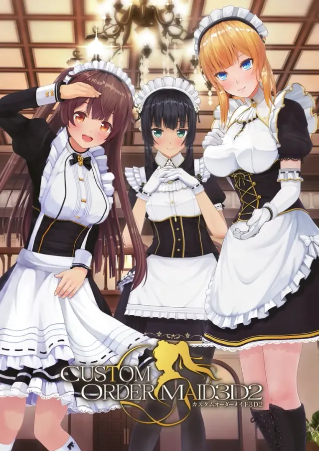 3D定制女仆2 封面