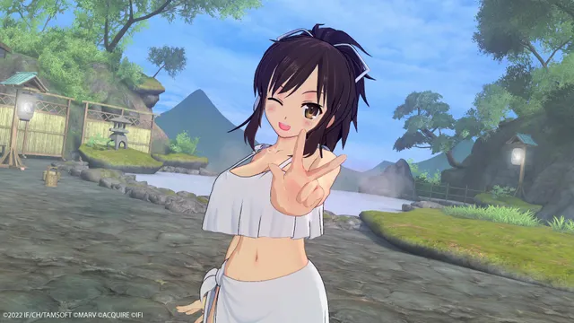 闪乱忍忍忍者大战战机少女：少女们的响艳 预览图 13