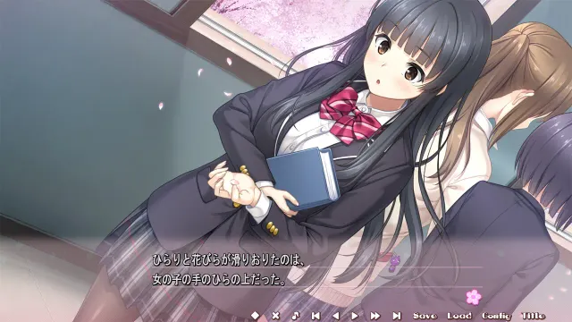 フルキスS 预览图 2