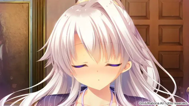 繁星降临夜的魔女法尔内斯 预览图 12