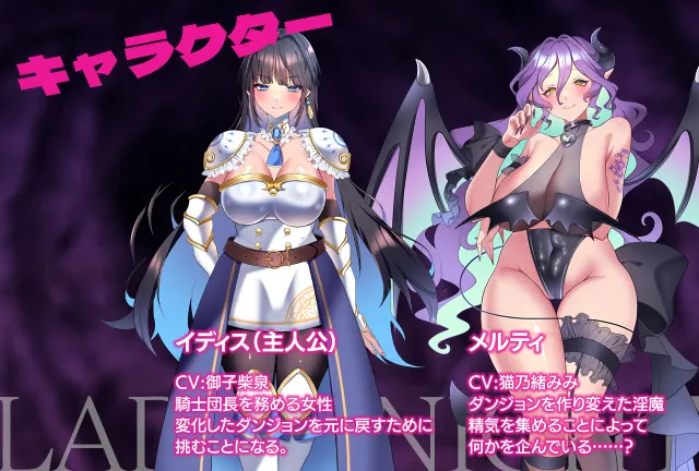 女骑士-淫魔的迷宫- 预览图 4
