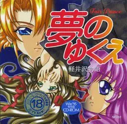 梦之所向 轻井泽物语 封面
