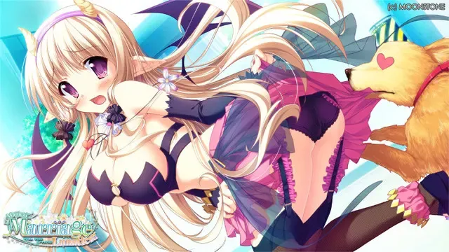 Magical Marriage Lunatics!! 预览图 13