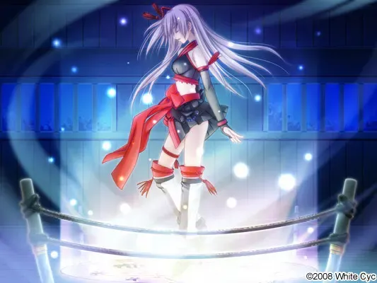 恋する式（おとめ）～SHIKIGAMI 2008～ 预览图 7