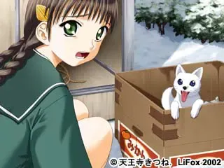 in white 预览图 2