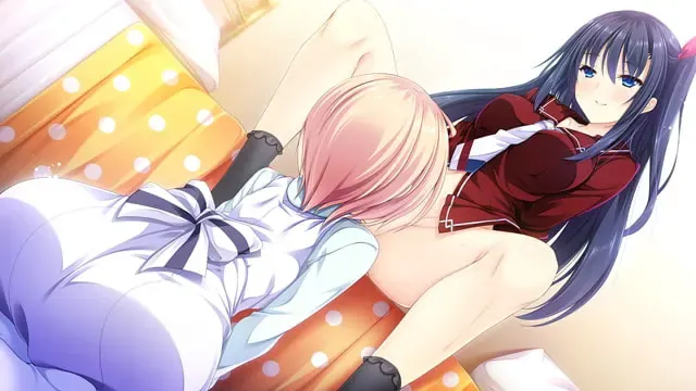 少女缔结的月之光辉 预览图 13
