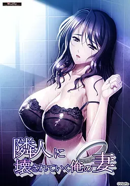 邻居毁掉了我的妻子 封面