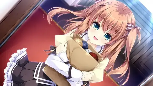 少女缔结的月之光辉 预览图 23