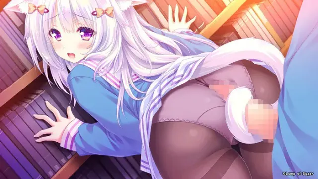 猫咪相随★恋樱纷飞 预览图 22