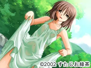 夏日 -kajitsu- 预览图 6