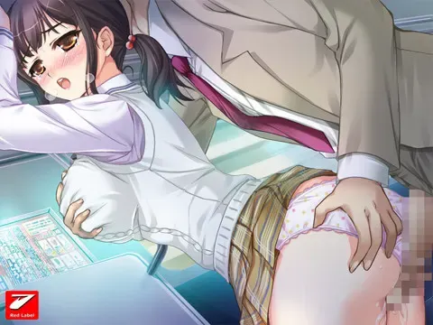 JK痴汉电车 ～通学中的处女，要不要摸摸？～ 预览图 14