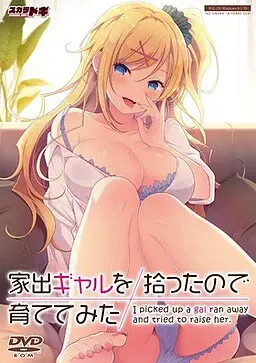 家出ギャルを拾ったので育ててみた 封面