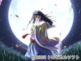 归还 预览图 22