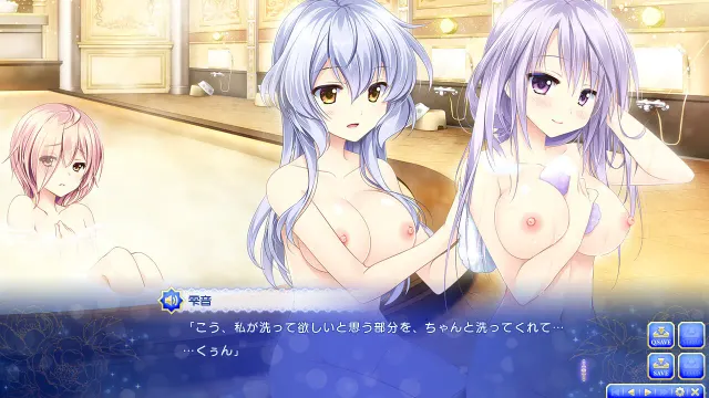 少女缔结的月之光辉 预览图 4