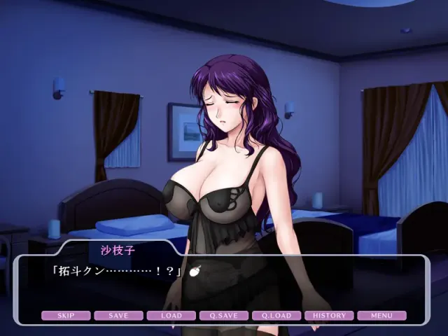 人妻奴隶计划 预览图 2