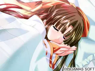 太太是巫女？ 预览图 11