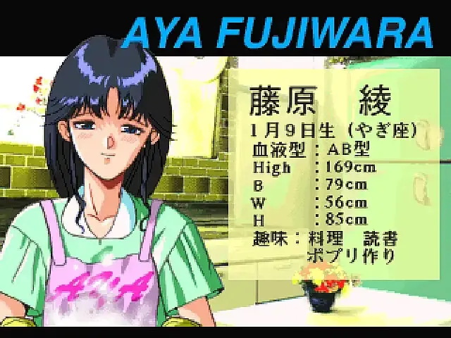 超级真实麻将 ～P.V～ 预览图 3