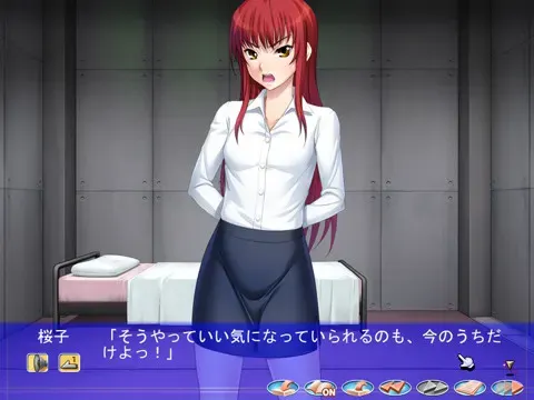完全调教档案 预览图 1