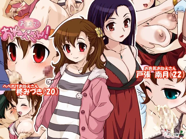 おしえて!おねえさん! 预览图 3