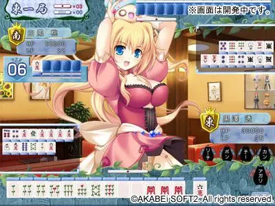 こんぼく麻雀～こんな麻雀があったら僕はロン！～ 预览图 14