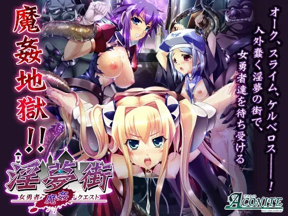 淫梦街 ～女勇者魔奸任务～ 封面
