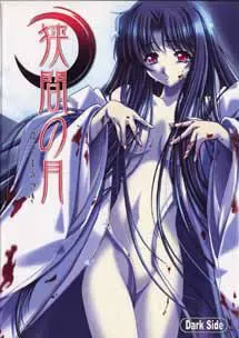 狭間之月 封面