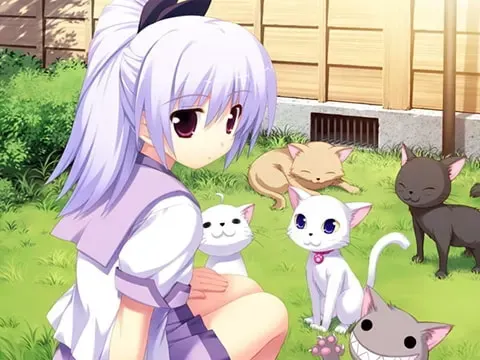 向阳篮子 预览图 7