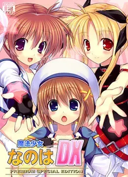 魔法少女奈叶DX 封面