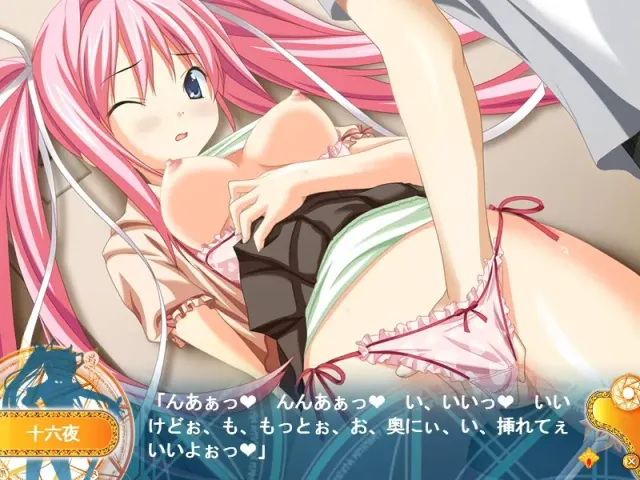 ステルラエクエス～贖罪の姫騎士～ 预览图 7