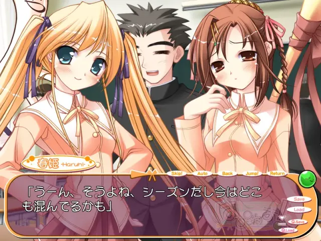 Happiness! 预览图 2