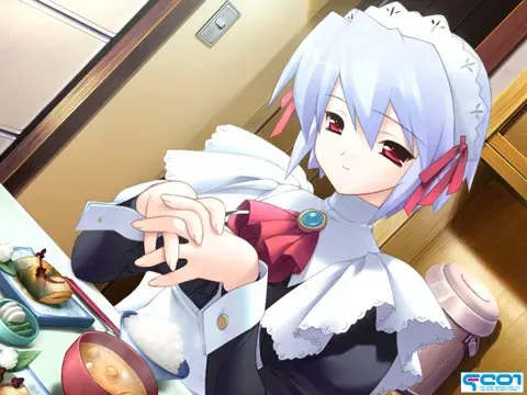 水月DL特典版 预览图 6