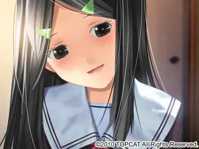 手毬花 预览图 7
