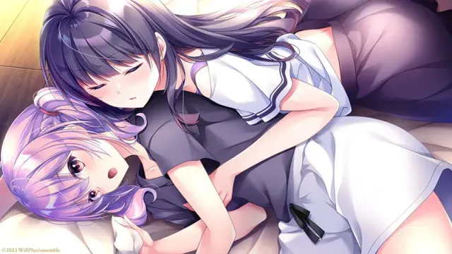 少女之剑与秘密的协奏曲 预览图 16