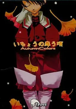 银杏飞舞之时 封面