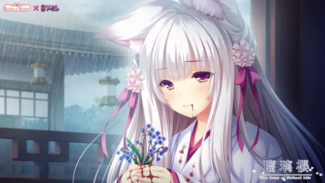 瑠璃樱 预览图 8