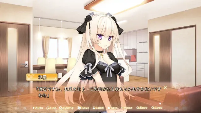 贤者赠予的妹妹 预览图 1