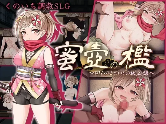 蜜壶之槛～被囚女忍的献上录～ 封面