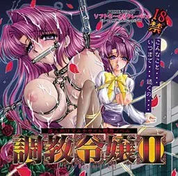 调教令娘2 封面