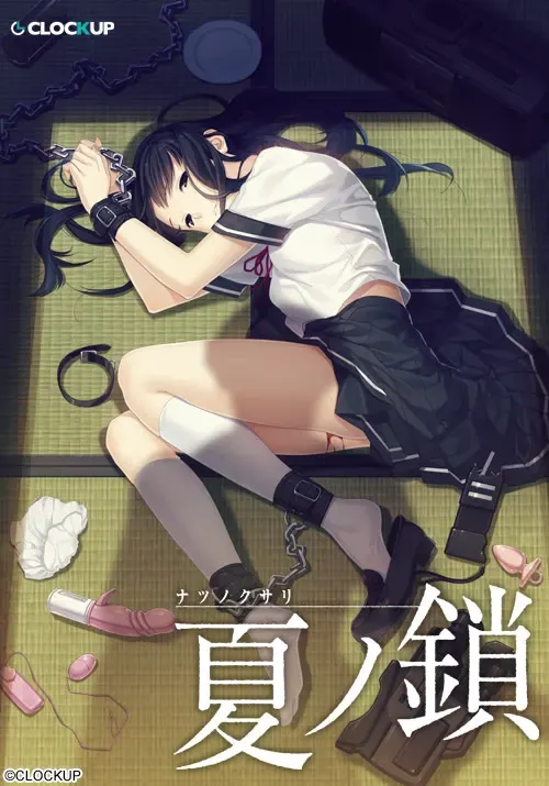 夏之锁 封面