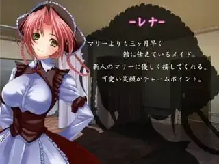 触手奸狱～吞噬女仆的肉欲之块～ 预览图 9