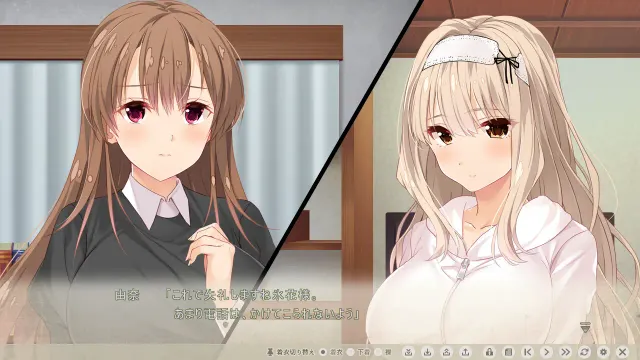 虏之姐妹 ～被淫乱玩弄的命运迷途之子～ 预览图 2