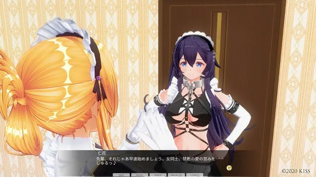 カスタムオーダーメイド3D2 キャラクターパックEX ド変態ドM 预览图 3