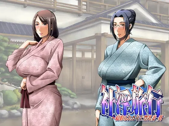 社淫旅行～被寝取的年长丰乳妻　葵 预览图 3