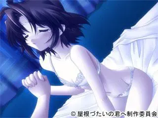 屋根づたいの君へ 预览图 12