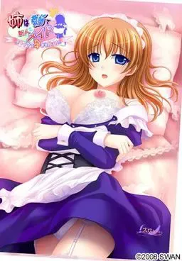 姐姐是教师兼新人女仆～恩爱受孕性活！～ 封面