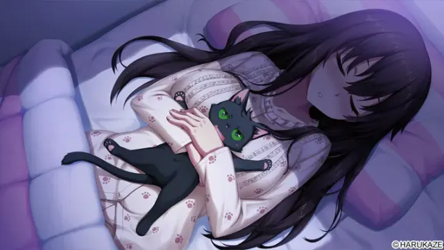野良与皇女与流浪猫之心 预览图 14