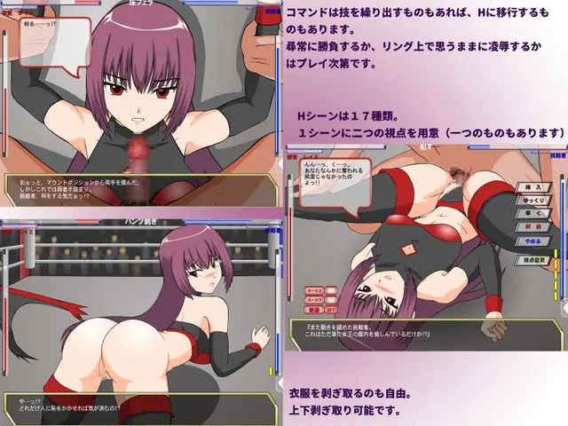 闘技女王レイミ 预览图 2