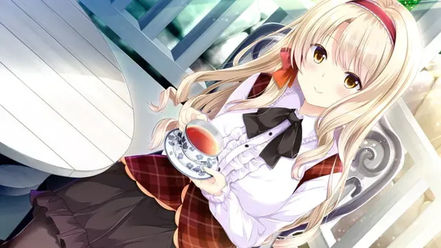 少女缔结的月之光辉 预览图 20
