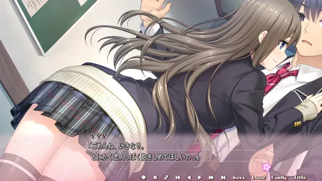 フルキスS 预览图 4