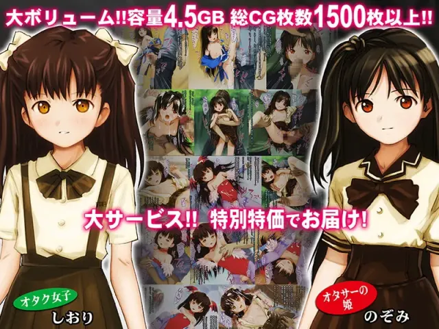 少女の道草～奴隷アイドル白書～ 预览图 11